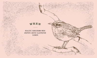 Realistic hand-drawn wren graphite sketch vector illustration element with texture, bird on a branch