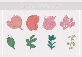 Hand drawn botanical set. Isolated vector illustration