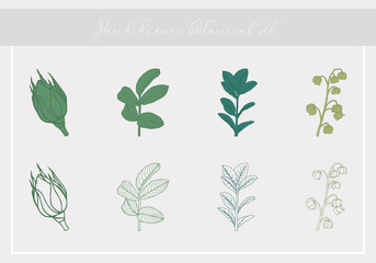 Hand drawn botanical set. Isolated vector illustration