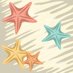 Obraz na płótnie Canvas starfish