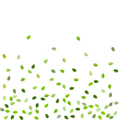 Grassy Greens Abstract Vector Border. Transparent 