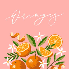 Oranges, Flowers and Leaves in hand drawn style. Vector Calligraphy inscription.