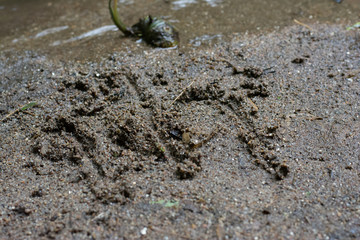 black sand and water