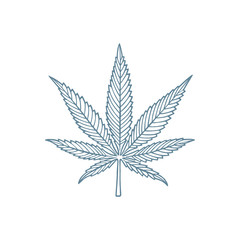 Cannabis leaf. Marijuana leaf hand drawn vector illustration. Cannabis sketch drawing. Part of set.
