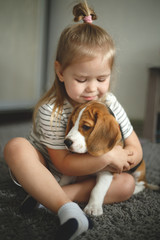 little girl hugs a cute beagle puppy