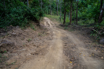 dust and sand in forest