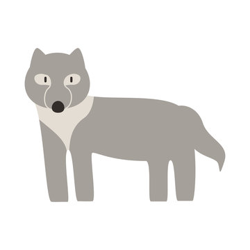 cute wolf animal vector