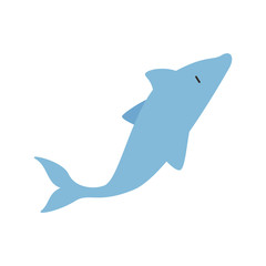 cute dolphin animal vector