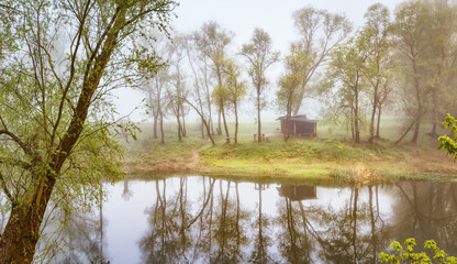 Fototapeta na wymiar Mysterious foggy scenery the willow trees reflected in plain river among green meadows. Sick morning fog over river, panoramic view of European nature landscape. Soft focus due to sick morning fog.