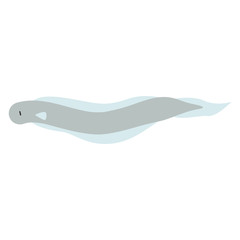 cute eel animal vector