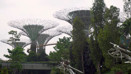 Supertree Grove and Skywalk During Afternoon in Singapore