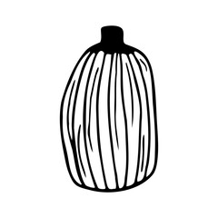 Hand drawn pumpkin isolated on a white background. Doodle, simple outline illustration. It can be used for decoration of textile, paper and other surfaces.