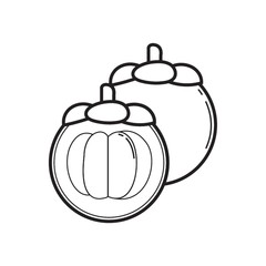 Mangosteen illustration