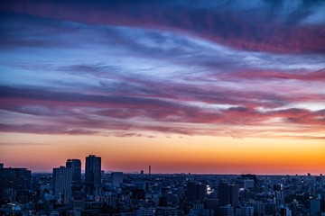 東京の夜明け前