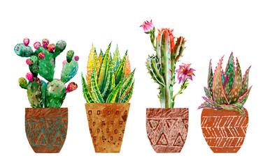 Watercolor cacti and aloe on white background.Popular.Нome plants in pots.Botanical illustration succulents .  Design for textile, fabric, print, ,smartphone cover,postcard,cover notebooks . 
