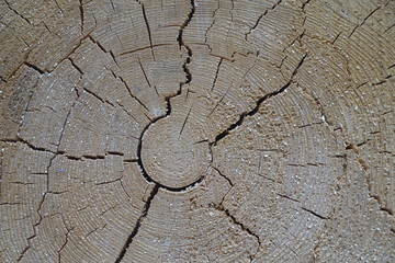 Schöne Waldlandschaft