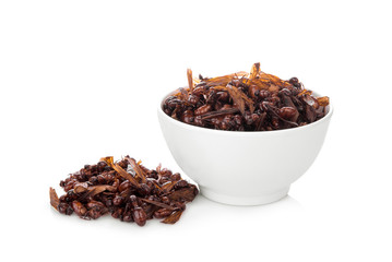male subterranean ants in the white bowl isolated on white background, tropical food