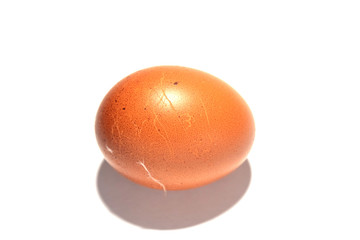 One brown egg on a white background.