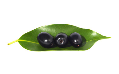 Jambolan plum, ripe fruit or Java plum fresh, placed on green leaves Purple Black Plum, Natural Light, Syzygium cumini, isolated on a white background
