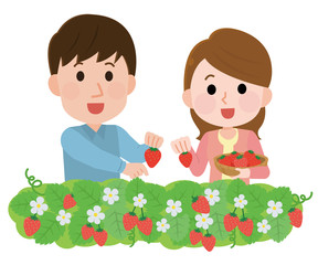 いちご狩りする家族 イラスト Wall Mural Wallpaper Murals こけ田