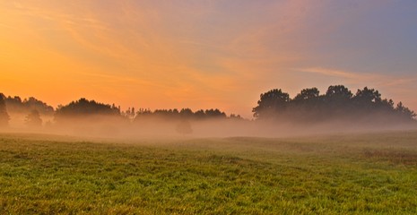 Mglisty poranek nad polem i łąką © Piotr