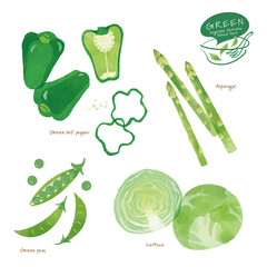 緑の野菜のイラスト/ アソート/手描き