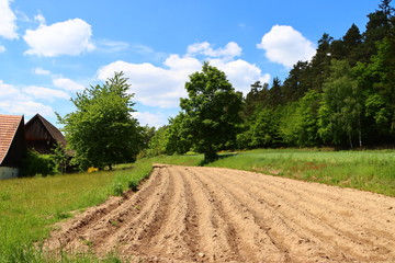 country road in the countryside