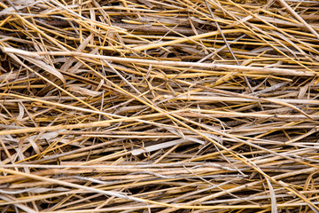 Dry mowed grass. Hay stored for drying. Rustic background. Harvesting feed for livestock. Preparing for winter. Close-up. Selective focus. Copy space.