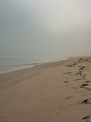 Misty beach. Culatra Island,Algarve, Portugal.