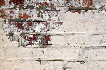 Old grunge red brick with peeled white plaster.