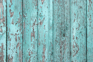 Fototapeta na wymiar Crackled paint on old light blue wood planks.