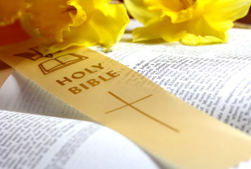 catholic blessing for Easter celebrations showing service with holy bible bookmark with daffodils