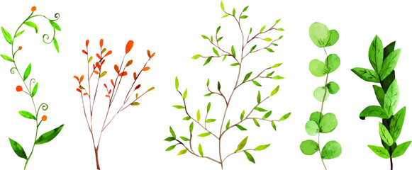 Watercolor Spring Branches and Leaves Group