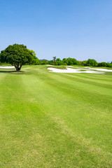 Fototapeta premium Golf Course with beautiful green field. Golf course with a rich green turf beautiful scenery.