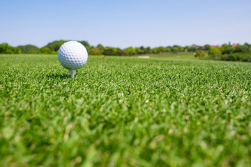 Golf Ball on tee at the teeing area. Golf course with a rich green turf beautiful scenery.