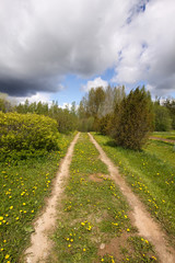 Beautiful spring scenic landscape with dark sky and dandelion meadow