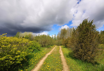 Fototapeta na wymiar Beautiful spring scenic landscape with dark sky and dandelion meadow