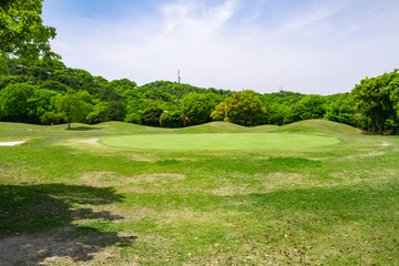 Fototapeta premium View of Golf Course with beautiful putting green. Golf course with a rich green turf beautiful scenery.