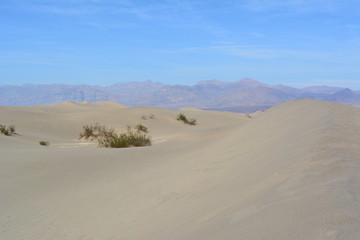 Fototapeta na wymiar Death Valley Nationalpark - USA - Kalifornien