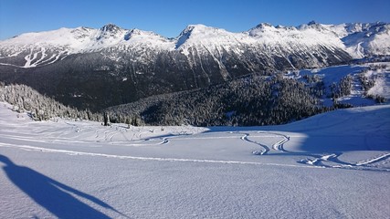 Whistler Backcountry