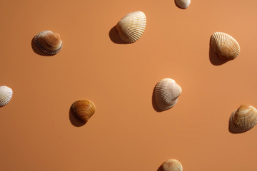 Sea shells on a beige background. Place for text.
