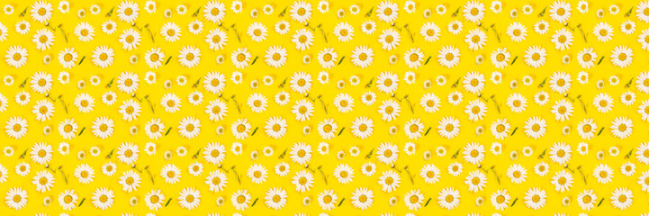 Floral camomile pattern on bright yellow background, top view, flat lay, banner size