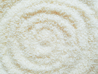 Scattered grain of white rice. Circles on rice background. Copy space. Top view