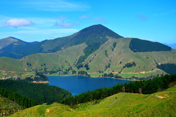 Fototapeta na wymiar Beautiful New Zealand landscape. Marlborough Sounds, South Island.