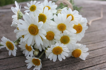 Obraz premium Bouquet of white daisies on a rustic table outdoors. Fresh chamomile flowers on wooden background 