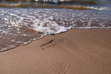 Footprint in the sand from shoes
