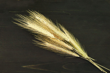 Golden spikelets on a black background