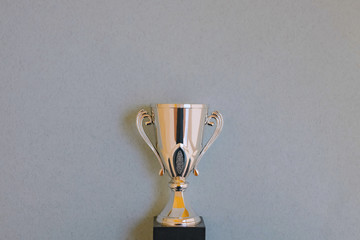 Prize sports cup on a gray background.