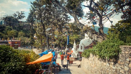 Fototapete bei efototapeten.de bestellen   