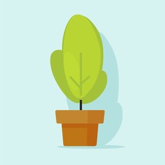 Houseplant or house plant in pot vector icon isolated on color background
